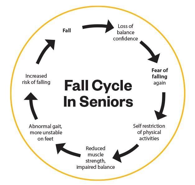 Cycle of Falls in Seniors